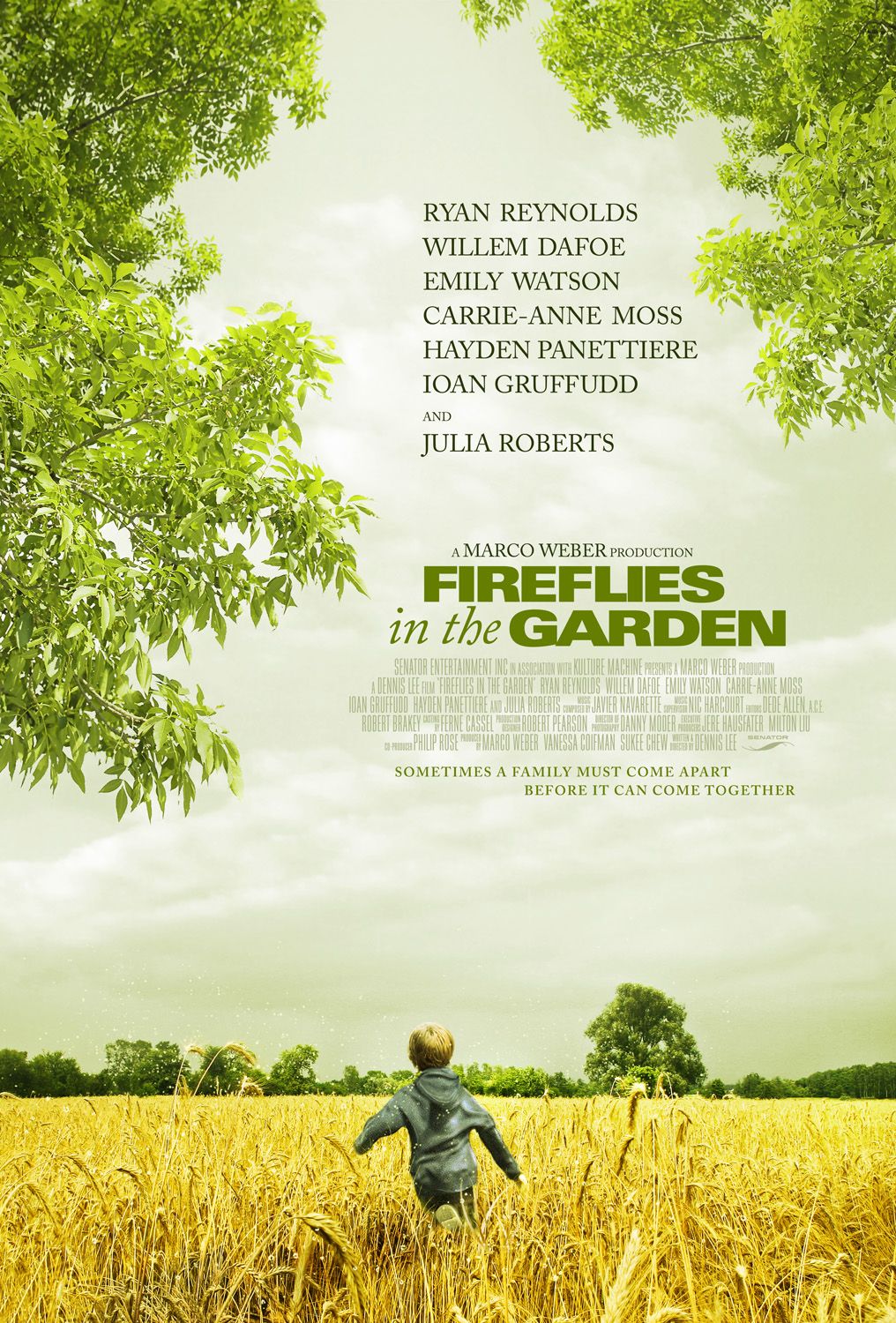 Cover van Fireflies in the Garden